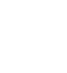 Transipal